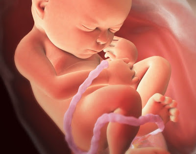 Desarrollo del bebé en el útero. Sus logros mes a mes